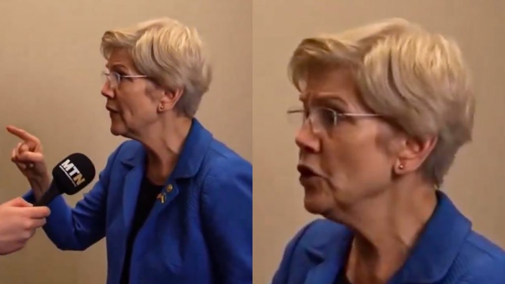 Elizabeth Warren Loses Her Mind After Journalist Asks About Elon Musk